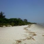 Bakkhali Travel Guide,Bakkhali Sightseeing,Hotels in Bakkhali